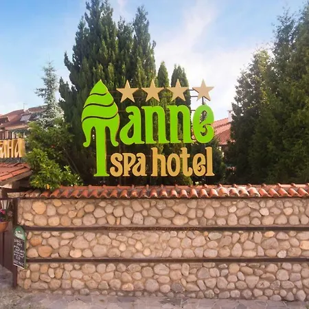 Tanne Otel 4*