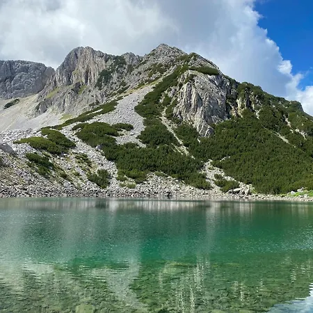 Tanne Bansko