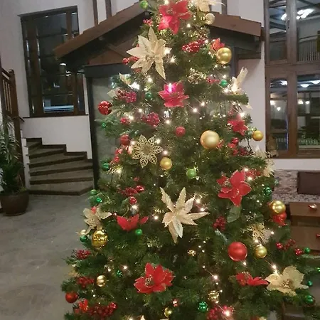 Tanne Hotel Bansko