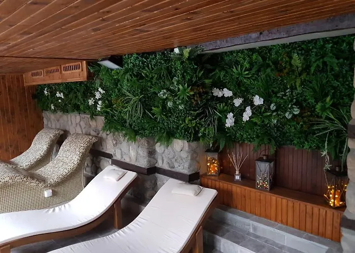 Хотел танне